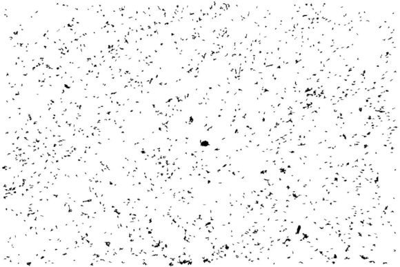 Download Distressed Grunge Texture Background - Texture background Collection