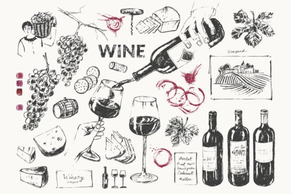 Download Wine Sketches - Wine Collection